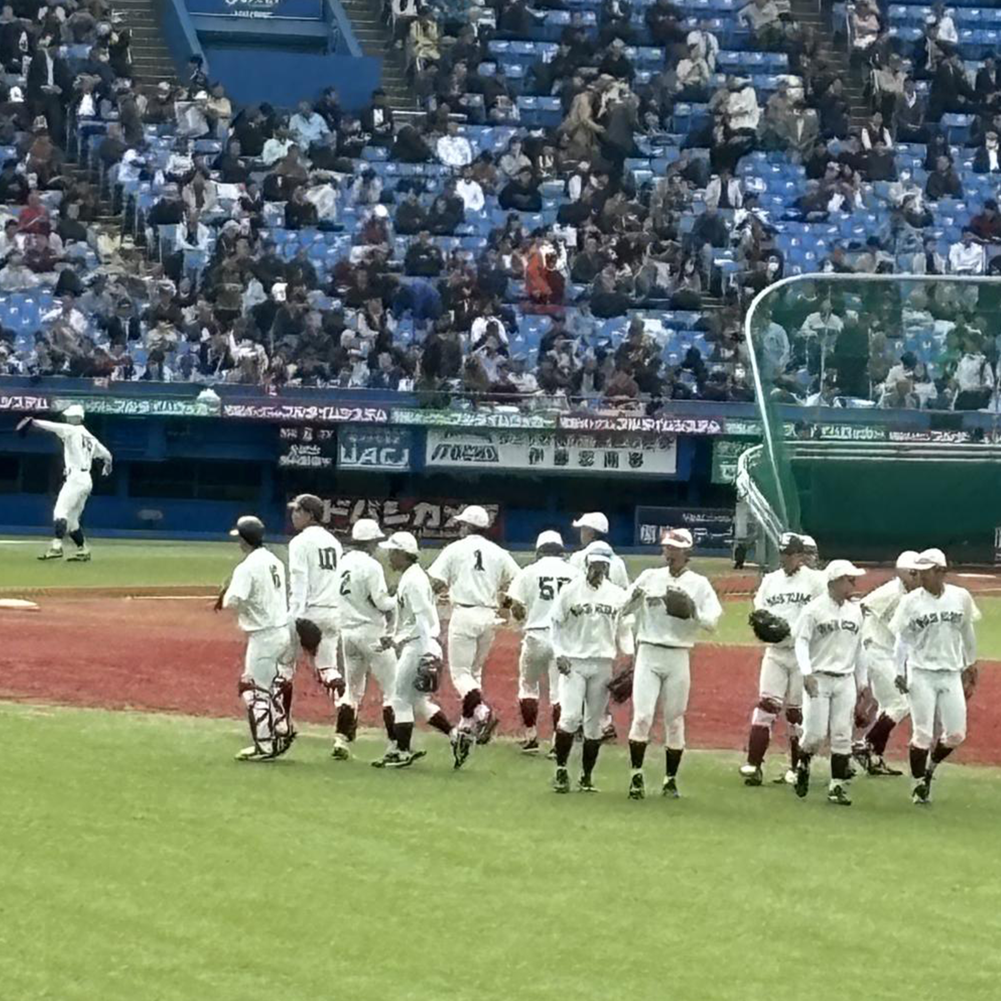 人生初の【1人で野球観戦】大好きな牡蠣を独り占めも