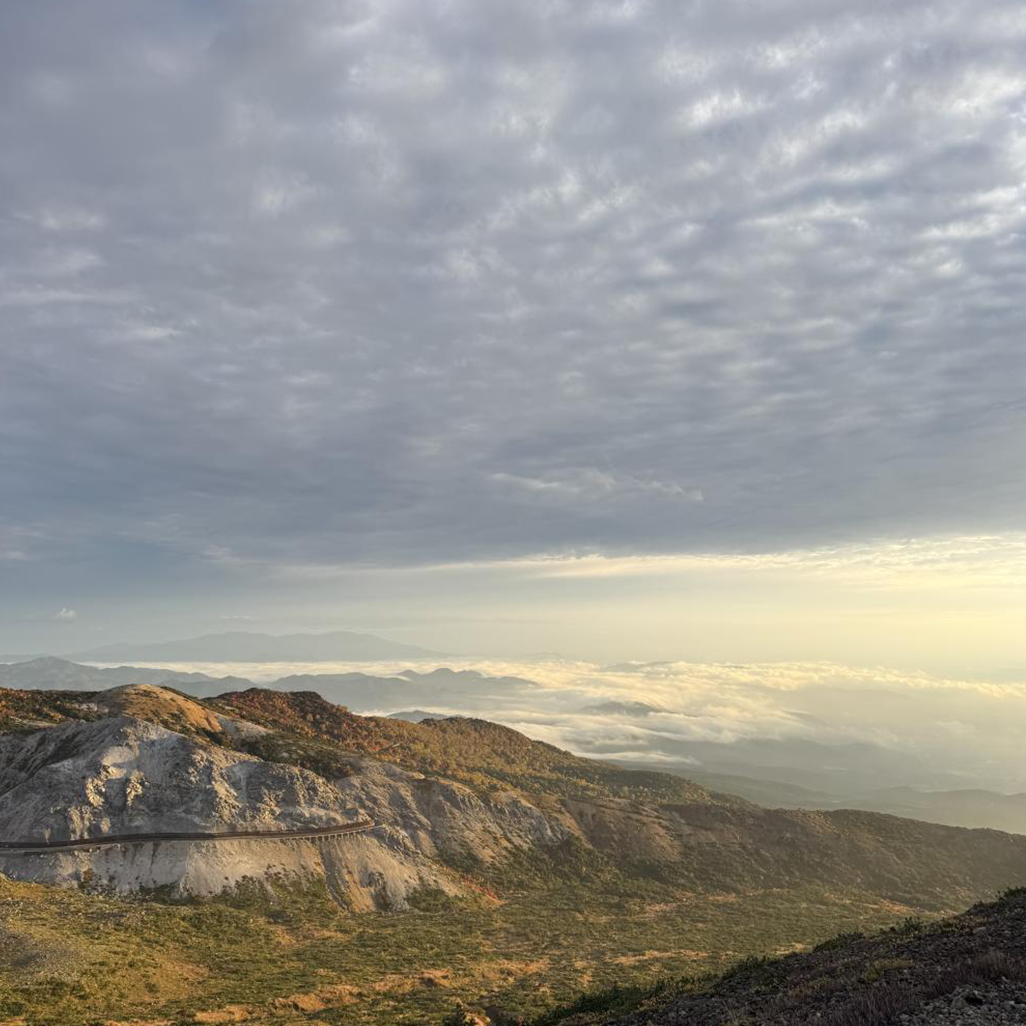 【美容師の休日】11月の振返り。スイーツ男子に肉フェス、日の出とイルミネーション